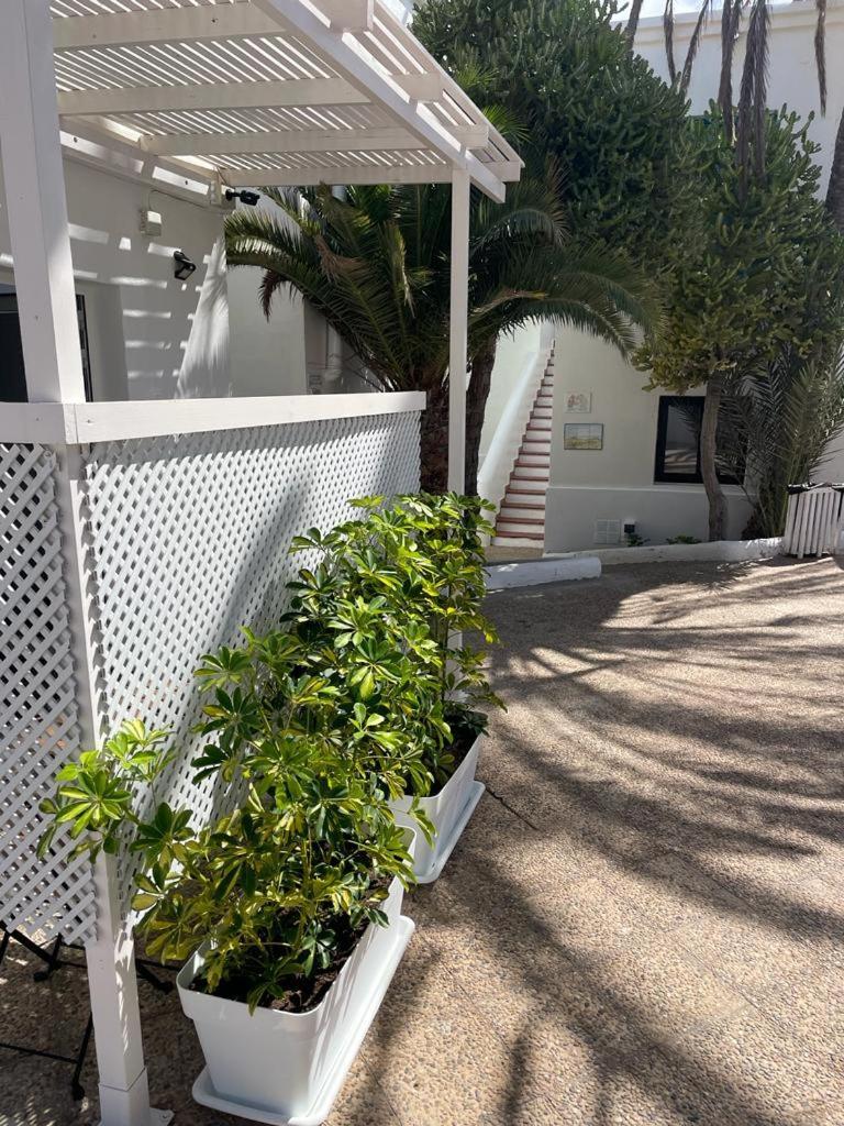 Apartamentos Punta Elena Beach كوراليهو المظهر الخارجي الصورة